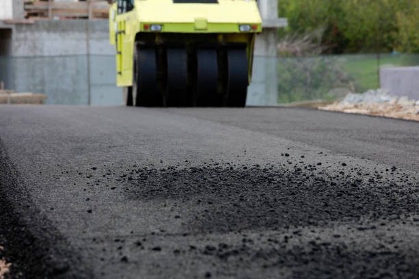 Best Local Driveway Pavers  in Camn, DE
